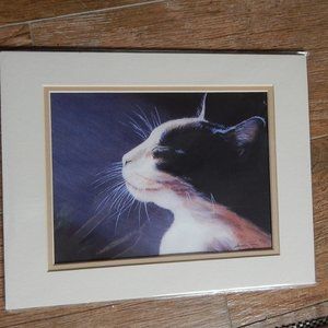 11 X 14 DOUBLE MATTED PRINT, LIMITED EDITION. "BLISS"
